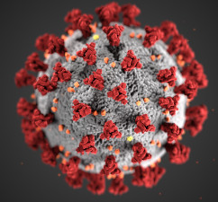 2019 Coronavirus COVID-19